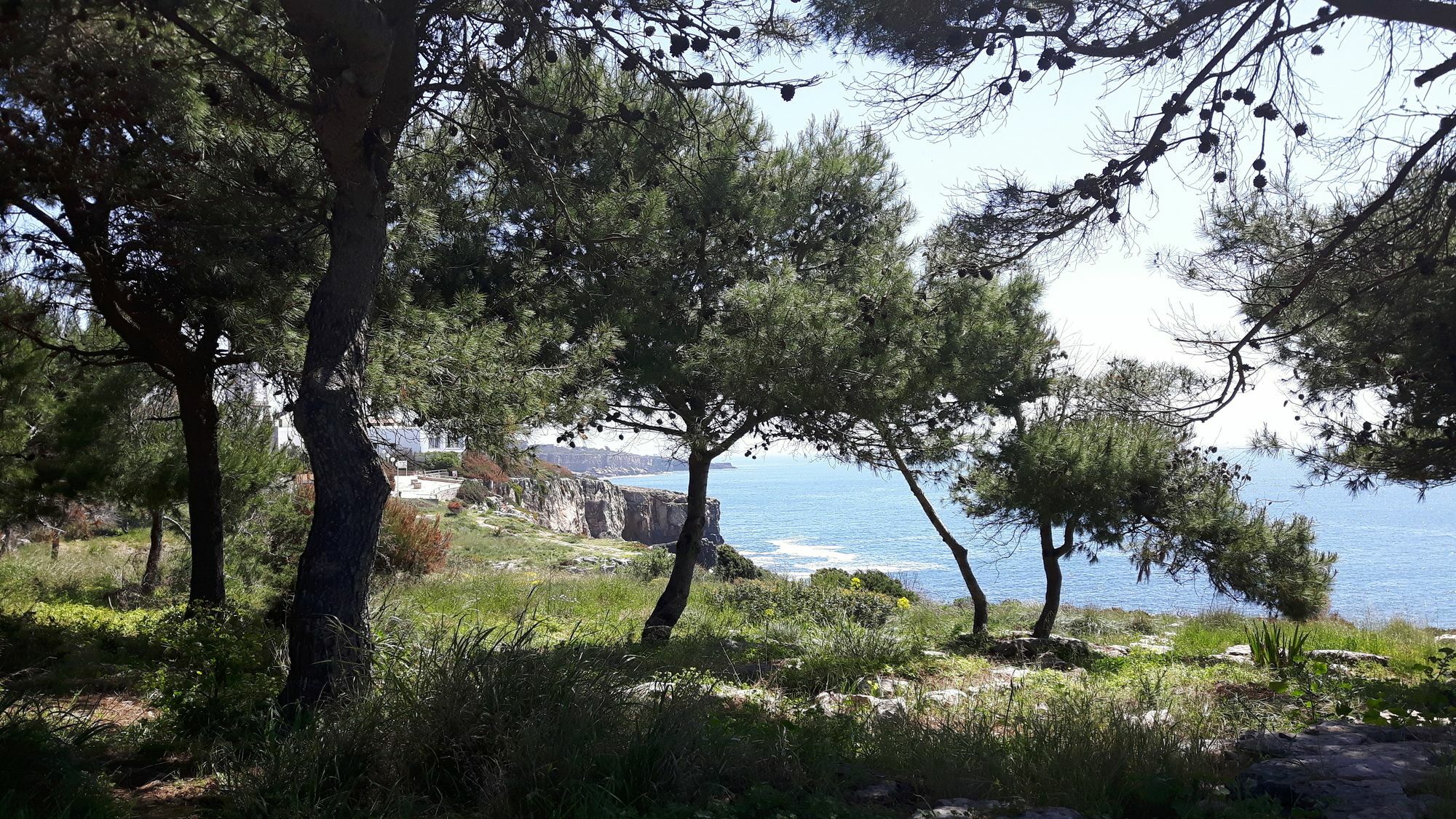 Charming Villa Golf & Beach Cascais Eksteriør billede